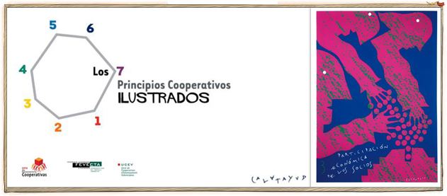 7principios_3