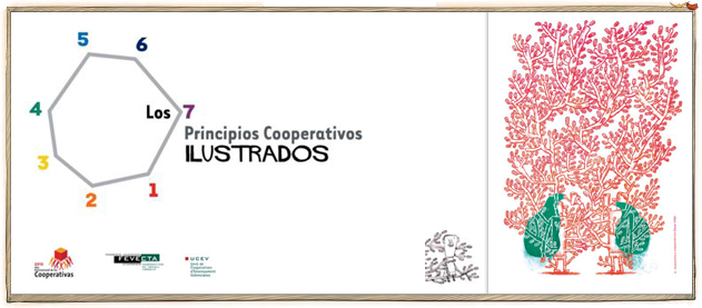 7principios_4