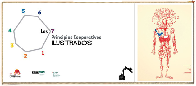 7principios_7
