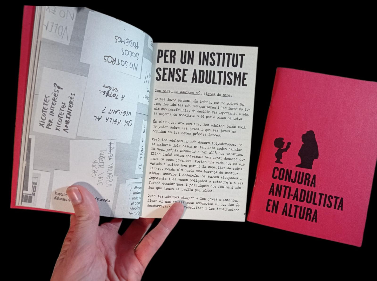 «Massa Salvatge» i la insurrecció educativa: construint una escola antiadultista