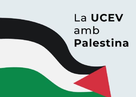 Marea Palestina demana al Consell Escolar Estatal garanties per a una educació en drets humans que no siga aliena al genocidi a Gaza